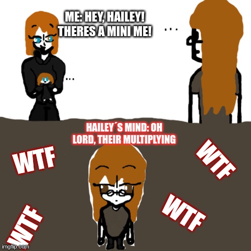 ME: HEY, HAILEY! THERES A MINI ME! HAILEY´S MIND: OH LORD, THEIR MULTIPLYING; WTF; WTF; WTF; WTF | made w/ Imgflip meme maker