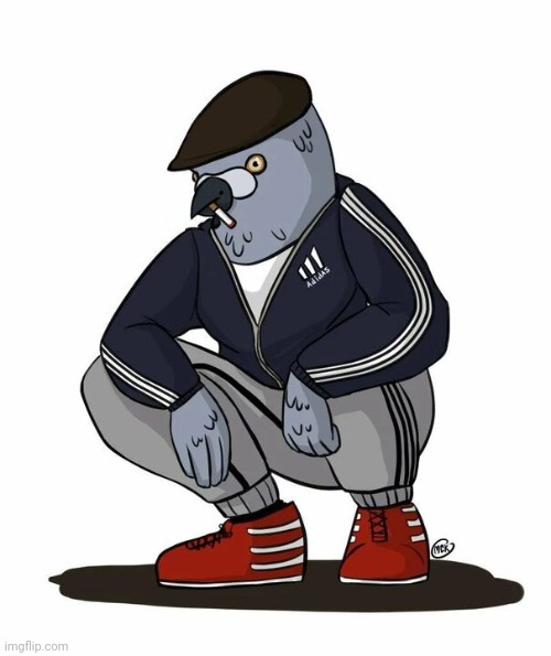 Gopnik Pigeon | image tagged in gopnik pigeon,slavic,russian,pigeon,gangster | made w/ Imgflip meme maker