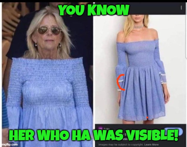 YOU KNOW HER WHO HA WAS VISIBLE! | made w/ Imgflip meme maker