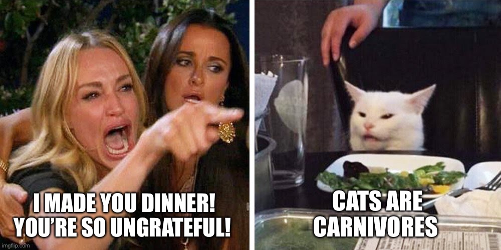 I made you dinner! | I MADE YOU DINNER! YOU’RE SO UNGRATEFUL! CATS ARE CARNIVORES | image tagged in smudge the cat,cats,cat,cat memes,dinner,carnivores | made w/ Imgflip meme maker