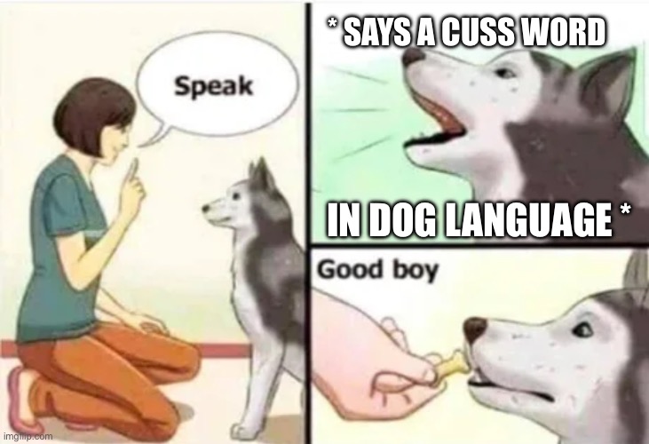 This could be happening. You don't know. | * SAYS A CUSS WORD; IN DOG LANGUAGE * | image tagged in good boy,dogs,dog,husky,dog memes,dog tricks | made w/ Imgflip meme maker