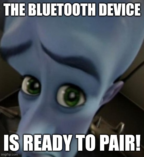 Nevermind | THE BLUETOOTH DEVICE; IS READY TO PAIR! | image tagged in megamind no bitches | made w/ Imgflip meme maker