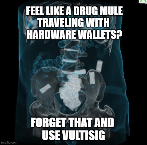 Vultisig drug mule | FEEL LIKE A DRUG MULE
TRAVELING WITH 
HARDWARE WALLETS? FORGET THAT AND 
USE VULTISIG | image tagged in memes,vultisig,drug mule,crypto,wallet | made w/ Imgflip meme maker