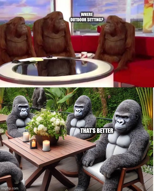 Outdoor setting | WHERE OUTDOOR SETTING? THAT’S BETTER | image tagged in where monkey,monkeys,outdoors,patio | made w/ Imgflip meme maker