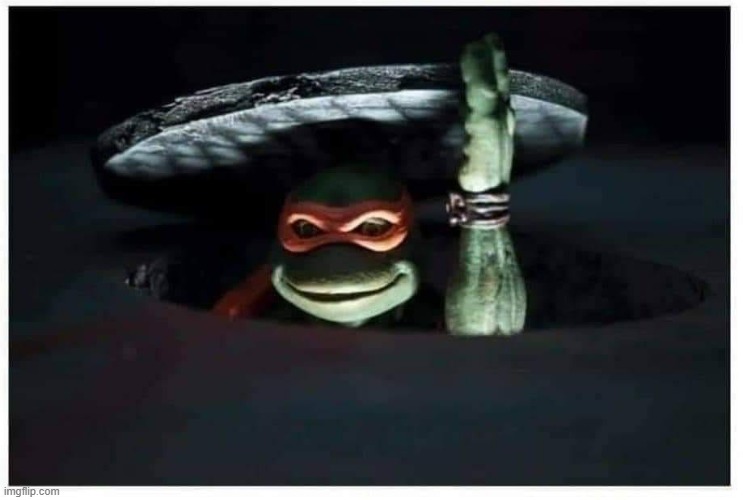 Ninja turtle | image tagged in ninja turtle | made w/ Imgflip meme maker
