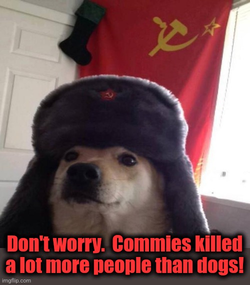 Russian Doge | Don't worry.  Commies killed a lot more people than dogs! | image tagged in russian doge | made w/ Imgflip meme maker