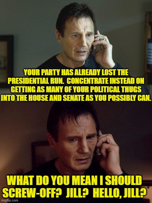 It's time to get practical about this leftists. | YOUR PARTY HAS ALREADY LOST THE PRESIDENTIAL RUN.  CONCENTRATE INSTEAD ON GETTING AS MANY OF YOUR POLITICAL THUGS INTO THE HOUSE AND SENATE AS YOU POSSIBLY CAN. WHAT DO YOU MEAN I SHOULD SCREW-OFF?  JILL?  HELLO, JILL? | image tagged in yep | made w/ Imgflip meme maker