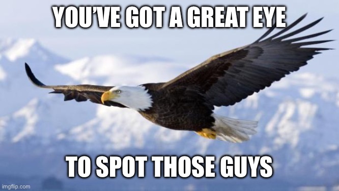 eagle | YOU’VE GOT A GREAT EYE TO SPOT THOSE GUYS | image tagged in eagle | made w/ Imgflip meme maker