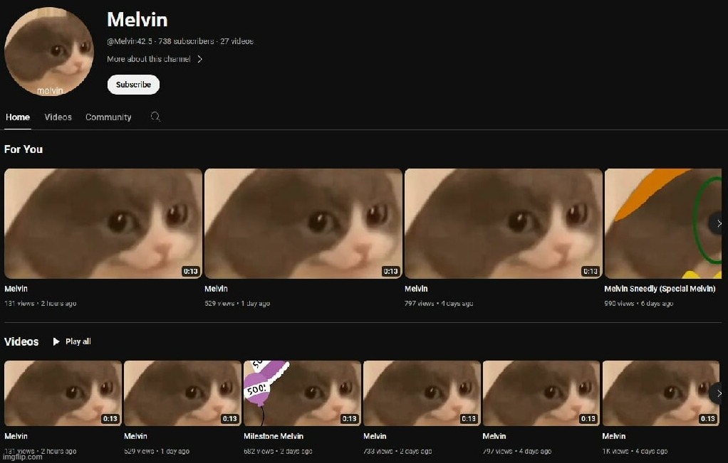 the channel of the year | made w/ Imgflip meme maker