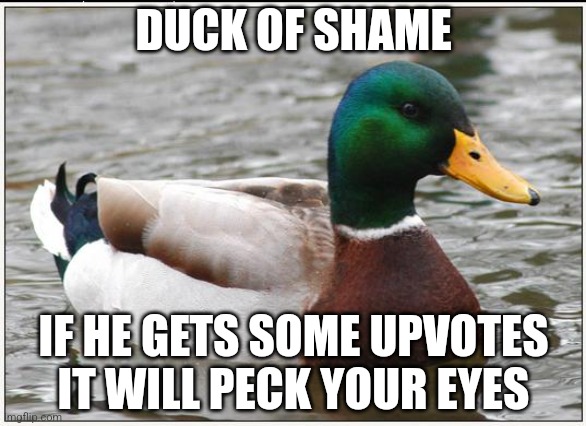 The duck of shame | DUCK OF SHAME; IF HE GETS SOME UPVOTES IT WILL PECK YOUR EYES | image tagged in memes,actual advice mallard | made w/ Imgflip meme maker