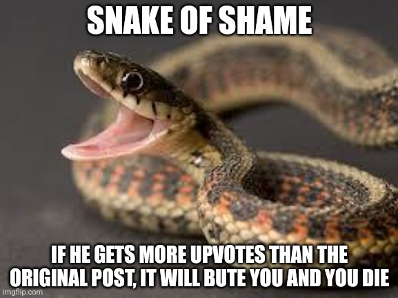 Snake of shame | SNAKE OF SHAME; IF HE GETS MORE UPVOTES THAN THE ORIGINAL POST, IT WILL BUTE YOU AND YOU DIE | image tagged in warning snake | made w/ Imgflip meme maker