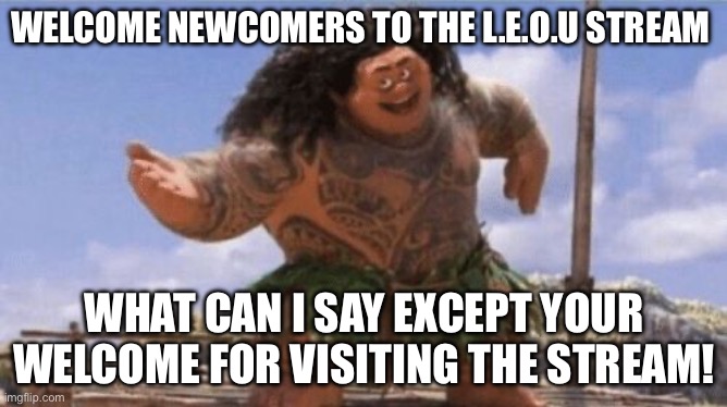 I hope that you have an amazing day every day! | WELCOME NEWCOMERS TO THE L.E.O.U STREAM; WHAT CAN I SAY EXCEPT YOUR WELCOME FOR VISITING THE STREAM! | image tagged in what can i say except x | made w/ Imgflip meme maker