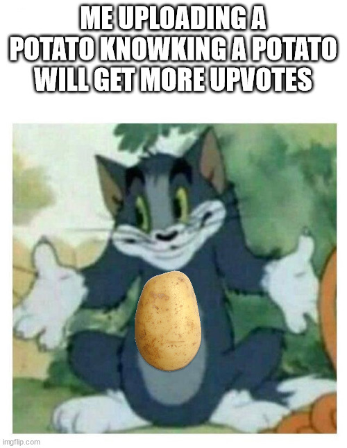 IDK Tom Template | ME UPLOADING A POTATO KNOWKING A POTATO WILL GET MORE UPVOTES | image tagged in idk tom template | made w/ Imgflip meme maker