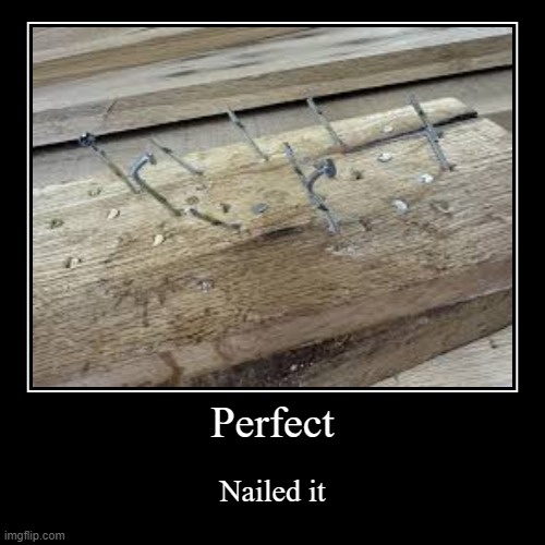 . | Perfect | Nailed it | image tagged in funny,demotivationals,perfection,not actually perfect,oh wow are you actually reading these tags | made w/ Imgflip demotivational maker