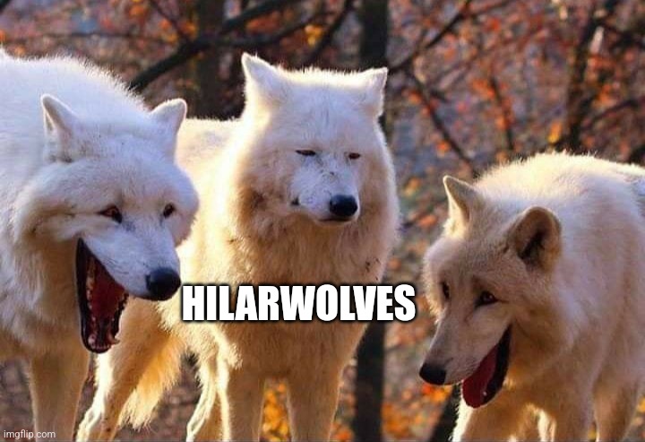 Laughing wolf | HILARWOLVES | image tagged in laughing wolf | made w/ Imgflip meme maker