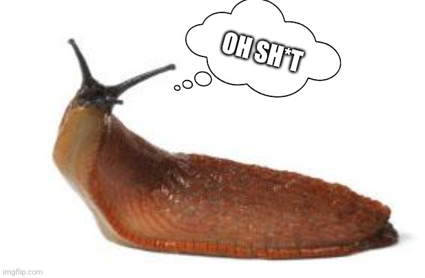 slug life | OH SH*T | image tagged in slug life | made w/ Imgflip meme maker