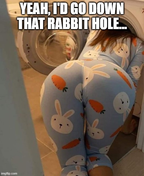 Rabbit Hole | YEAH, I'D GO DOWN THAT RABBIT HOLE... | image tagged in sex jokes | made w/ Imgflip meme maker