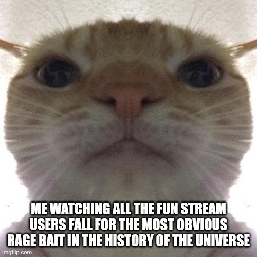 ㅤ | ME WATCHING ALL THE FUN STREAM USERS FALL FOR THE MOST OBVIOUS RAGE BAIT IN THE HISTORY OF THE UNIVERSE | image tagged in staring cat/gusic | made w/ Imgflip meme maker