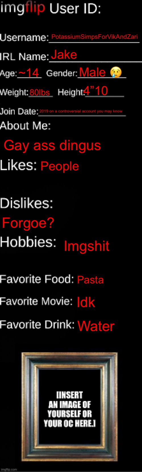 imgflip ID Card | PotassiumSimpsForVikAndZari; Jake; Male 😢; ~14; 4”10; 80lbs; 2019 on a controversial account you may know; Gay ass dingus; People; Forgoe? Imgshit; Pasta; Idk; Water | image tagged in imgflip id card | made w/ Imgflip meme maker