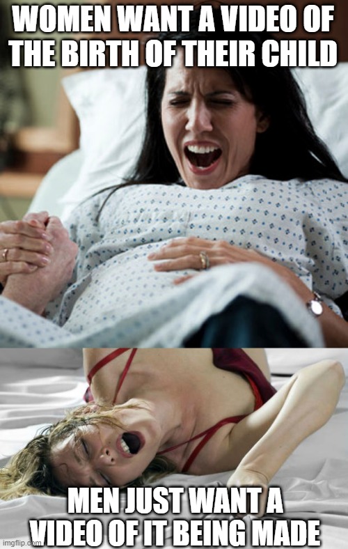 Conception vs Birth | WOMEN WANT A VIDEO OF THE BIRTH OF THEIR CHILD; MEN JUST WANT A VIDEO OF IT BEING MADE | image tagged in woman in labor,sexy image | made w/ Imgflip meme maker