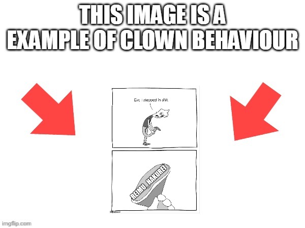 This image is a example of clown behaviour | image tagged in this image is a example of clown behaviour | made w/ Imgflip meme maker