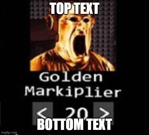 Image Title | TOP TEXT; BOTTOM TEXT | image tagged in image tags | made w/ Imgflip meme maker