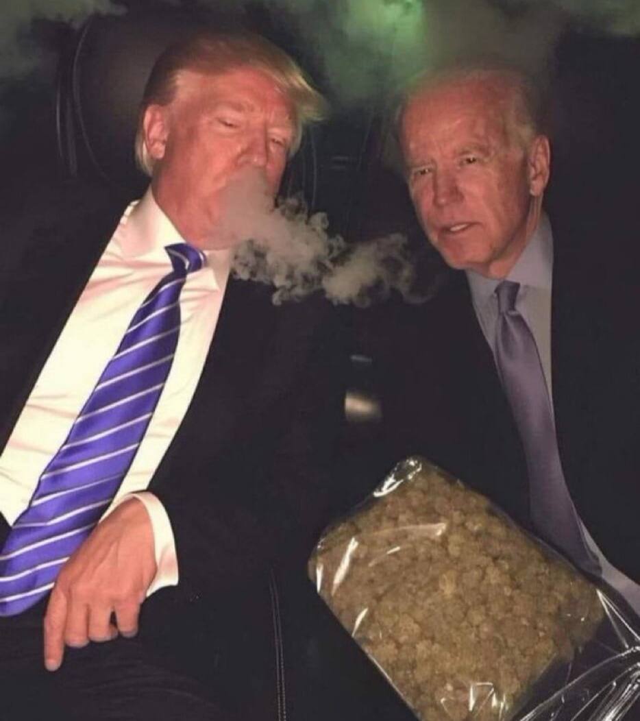 High Quality Trump, Biden, and Weed Blank Meme Template