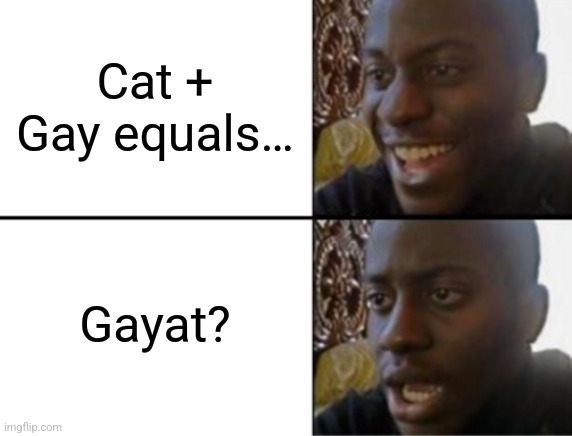 Oh yeah! Oh no... | Cat + Gay equals… Gayat? | image tagged in oh yeah oh no | made w/ Imgflip meme maker