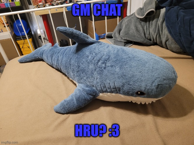 Wakey wakey! | GM CHAT; HRU? :3 | image tagged in my blahaj | made w/ Imgflip meme maker