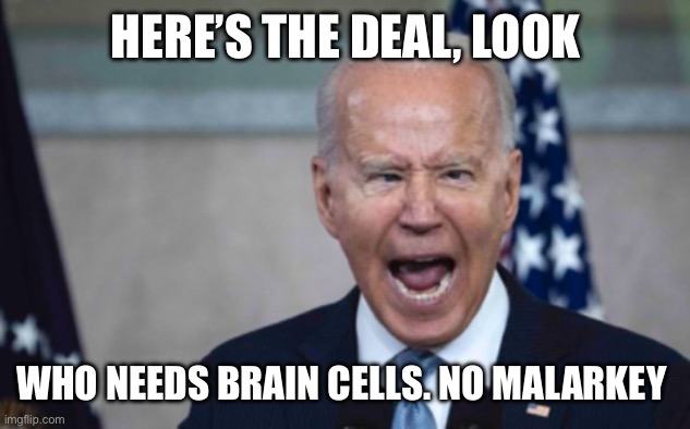 Biden Scream | HERE’S THE DEAL, LOOK; WHO NEEDS BRAIN CELLS. NO MALARKEY | image tagged in biden scream | made w/ Imgflip meme maker