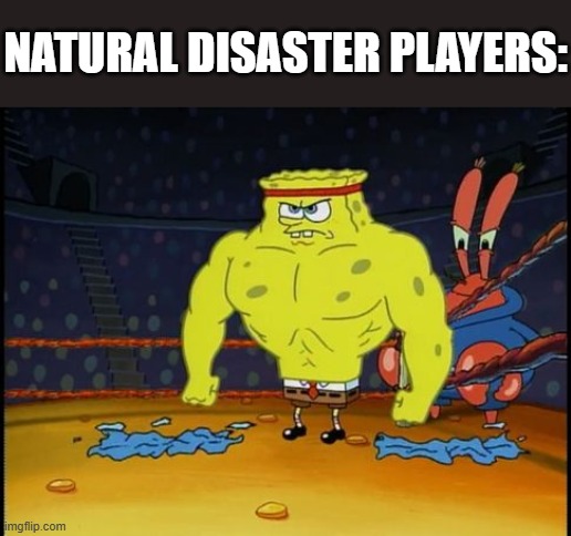 Buff Spongebob | NATURAL DISASTER PLAYERS: | image tagged in buff spongebob | made w/ Imgflip meme maker