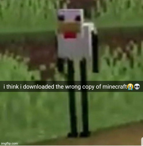 Cursed Minecraft chicken | i think i downloaded the wrong copy of minecraft😭💀 | image tagged in cursed minecraft chicken | made w/ Imgflip meme maker