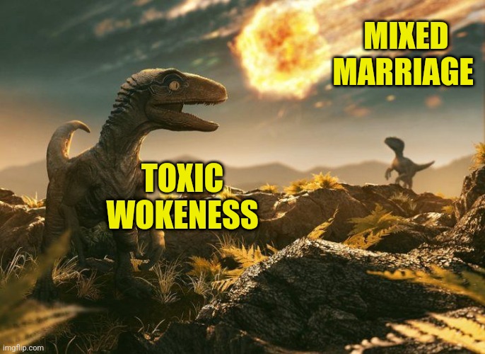 Dinosaur Asteroid | MIXED MARRIAGE; TOXIC WOKENESS | image tagged in dinosaur asteroid | made w/ Imgflip meme maker