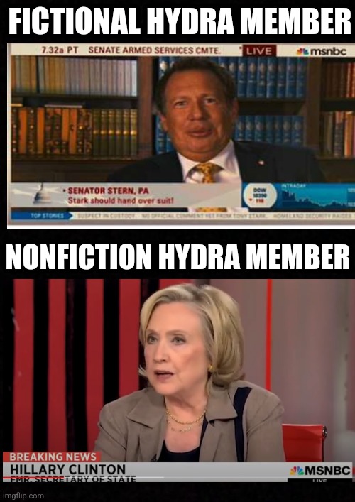 Don't Hail Hydra | FICTIONAL HYDRA MEMBER; NONFICTION HYDRA MEMBER | image tagged in hydra,hillary clinton,nwo,marvel,democrats,msnbc | made w/ Imgflip meme maker