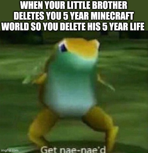 Get nae-nae'd | WHEN YOUR LITTLE BROTHER DELETES YOU 5 YEAR MINECRAFT WORLD SO YOU DELETE HIS 5 YEAR LIFE | image tagged in get nae-nae'd | made w/ Imgflip meme maker