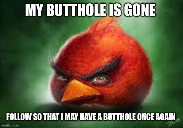 Realistic Red Angry Birds | MY BUTTHOLE IS GONE; FOLLOW SO THAT I MAY HAVE A BUTTHOLE ONCE AGAIN | image tagged in realistic red angry birds | made w/ Imgflip meme maker