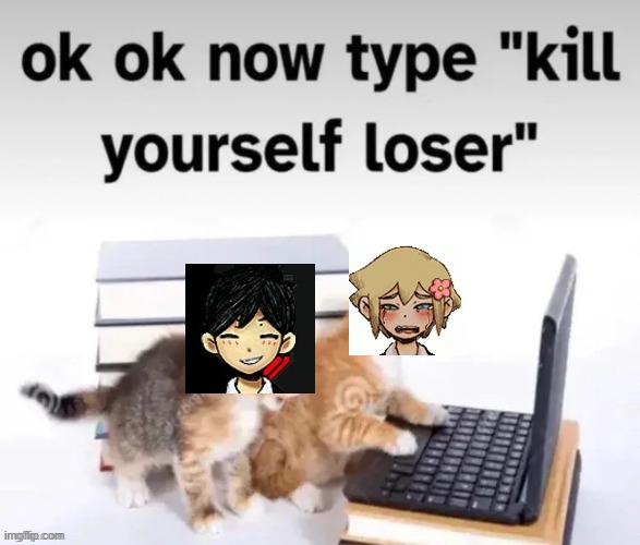 dearest modertaors:this aint directed at anyone this is just a meme about basil omori being a snowflake | image tagged in ok ok now type kill yourself loser | made w/ Imgflip meme maker