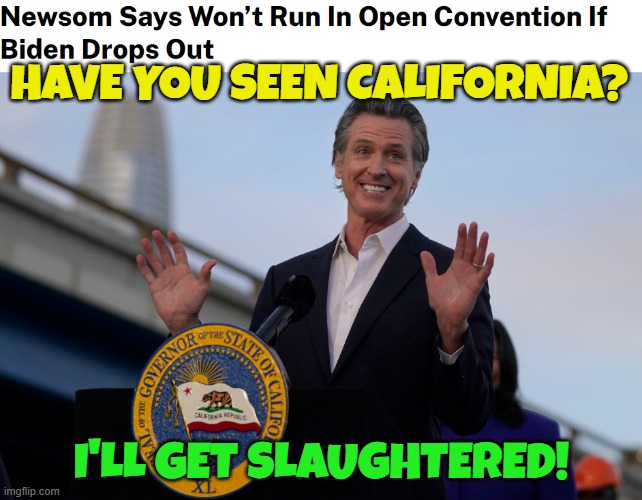 California | HAVE YOU SEEN CALIFORNIA? I'LL GET SLAUGHTERED! | image tagged in gavin,presidential election,california,governor,dnc,potus | made w/ Imgflip meme maker