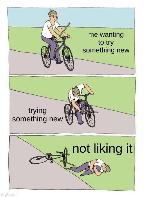 accept change brothers | me wanting to try something new; trying something new; not liking it | image tagged in memes,bike fall | made w/ Imgflip meme maker