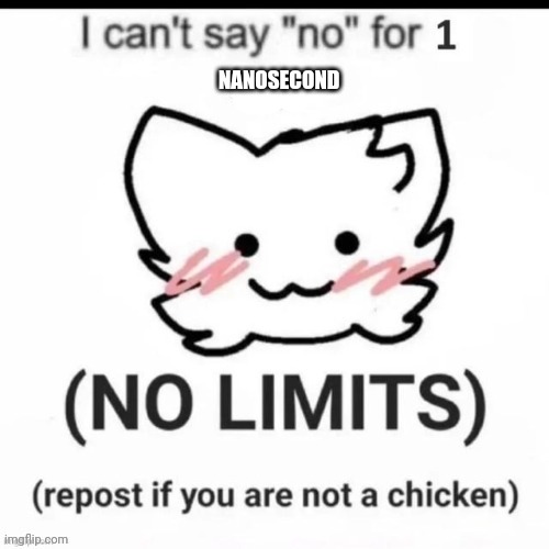 I can’t say no | NANOSECOND | image tagged in i can t say no | made w/ Imgflip meme maker