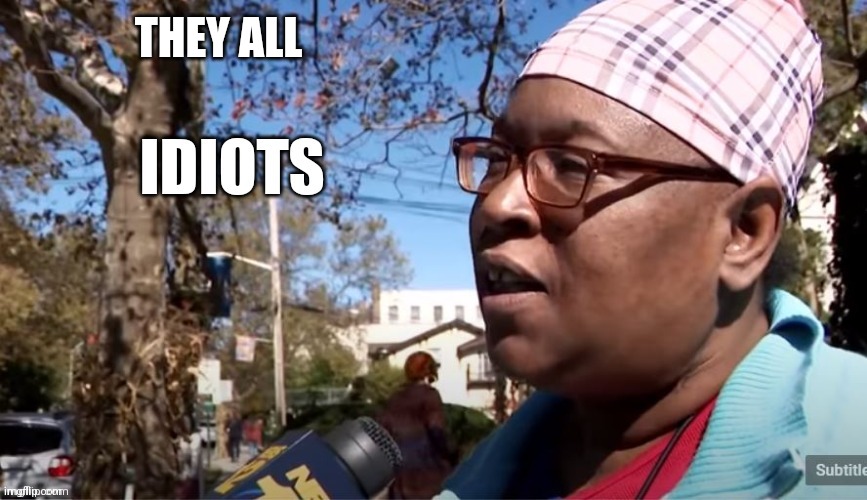 Idiots | THEY ALL | image tagged in idiots | made w/ Imgflip meme maker