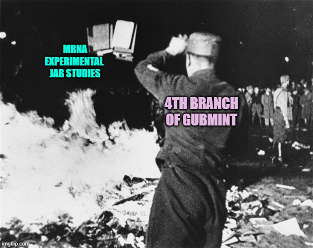 Book Burning Nazi Germany | 4TH BRANCH
OF GUBMINT MRNA
EXPERIMENTAL 
JAB STUDIES | image tagged in book burning nazi germany | made w/ Imgflip meme maker