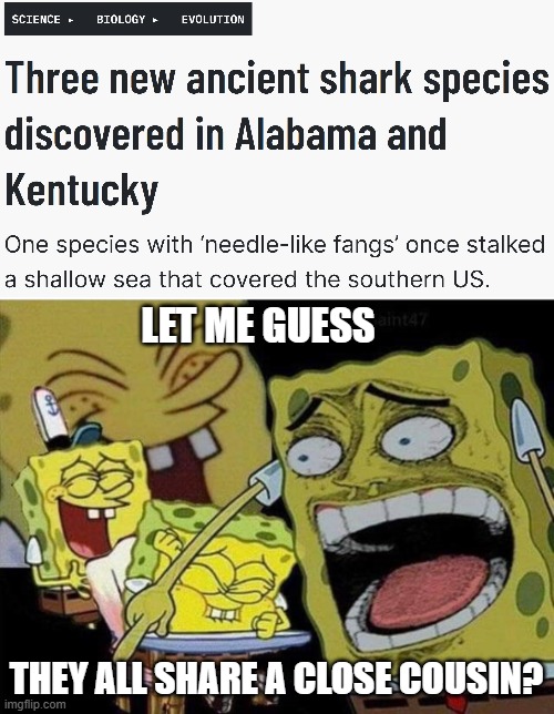 LET ME GUESS; THEY ALL SHARE A CLOSE COUSIN? | image tagged in science,funny,spongebob laughing hysterically,alabama,kentucky | made w/ Imgflip meme maker