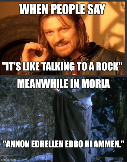 Talking to a rock | image tagged in sagan om ringen | made w/ Imgflip meme maker