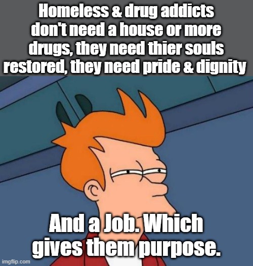 Futurama Fry | Homeless & drug addicts don't need a house or more drugs, they need thier souls restored, they need pride & dignity; And a Job. Which gives them purpose. | image tagged in memes,futurama fry | made w/ Imgflip meme maker