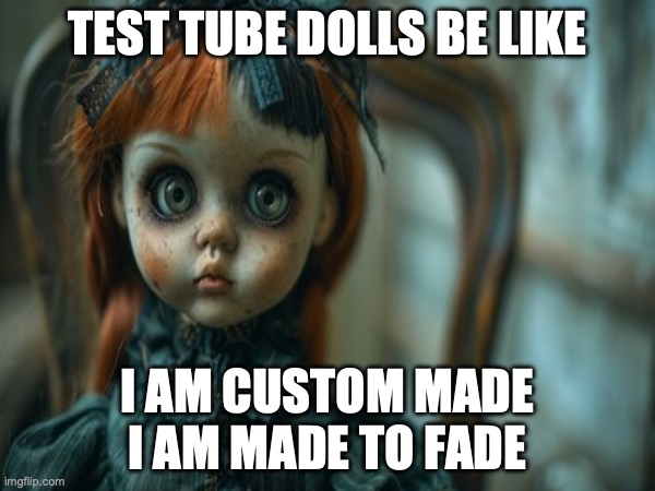 Test Tube Dolls Be Like | TEST TUBE DOLLS BE LIKE; I AM CUSTOM MADE
I AM MADE TO FADE | image tagged in test tube dolls,genetic engineering,genetics,genetics humor,science,test tube humor | made w/ Imgflip meme maker