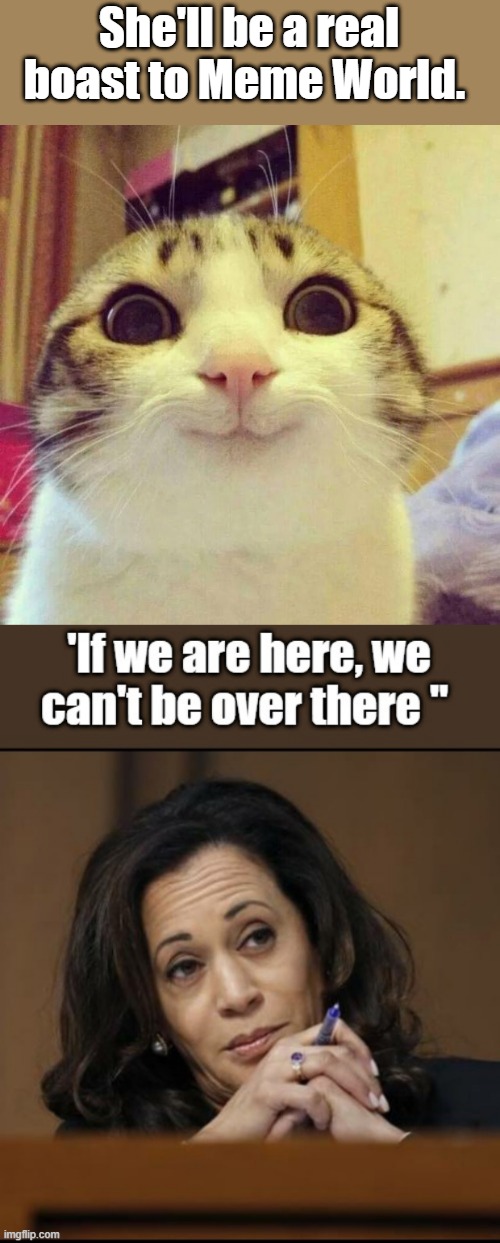 She'll be a real boast to Meme World. | image tagged in memes,smiling cat | made w/ Imgflip meme maker