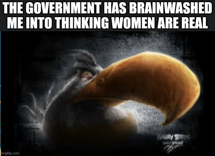 Realistic Mighty Eagle | THE GOVERNMENT HAS BRAINWASHED ME INTO THINKING WOMEN ARE REAL | image tagged in realistic mighty eagle | made w/ Imgflip meme maker