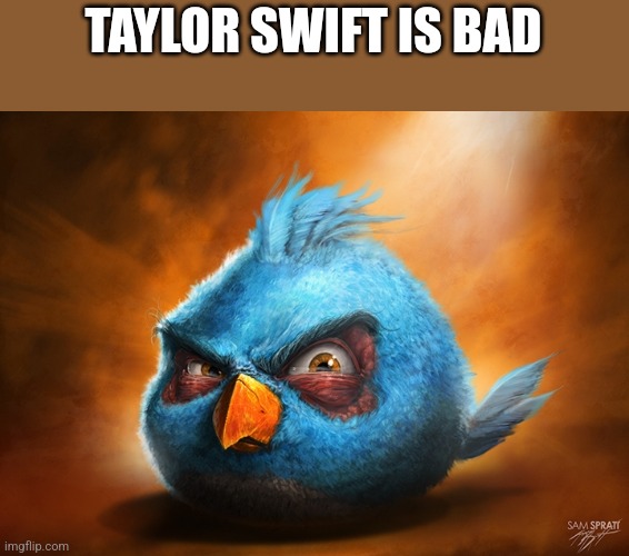 Taylor swift | TAYLOR SWIFT IS BAD | image tagged in angry birds blue | made w/ Imgflip meme maker