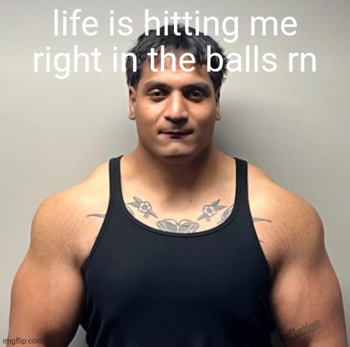 its like getting kicked in the sack 20+ times | life is hitting me right in the balls rn | image tagged in shan mugshot | made w/ Imgflip meme maker